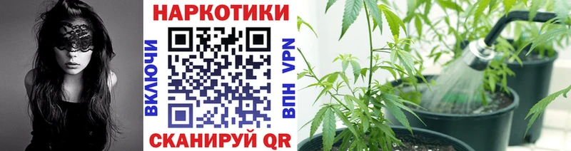 Купить закладку Галлюциногенные грибы  COCAIN  Alpha PVP  МАРИХУАНА  Мефедрон  Гашиш  АМФЕТАМИН  Грайворон