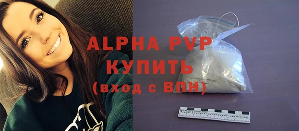 скорость Каменногорск