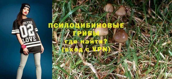 скорость Каменногорск