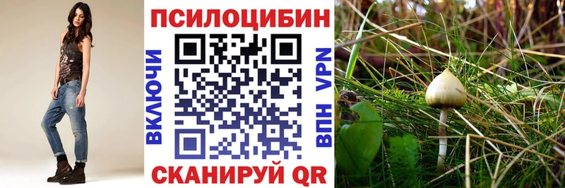 Купить закладки  Грайворон  Псилоцибиновые грибы мухоморы 